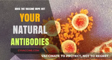 Vaccines and Natural Antibodies: Friends or Foes?