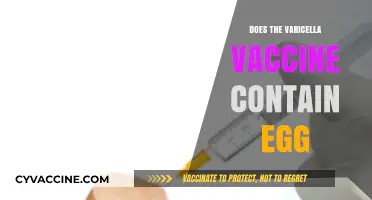 Does the Varicella Vaccine Contain Egg? Facts and Safety Explained