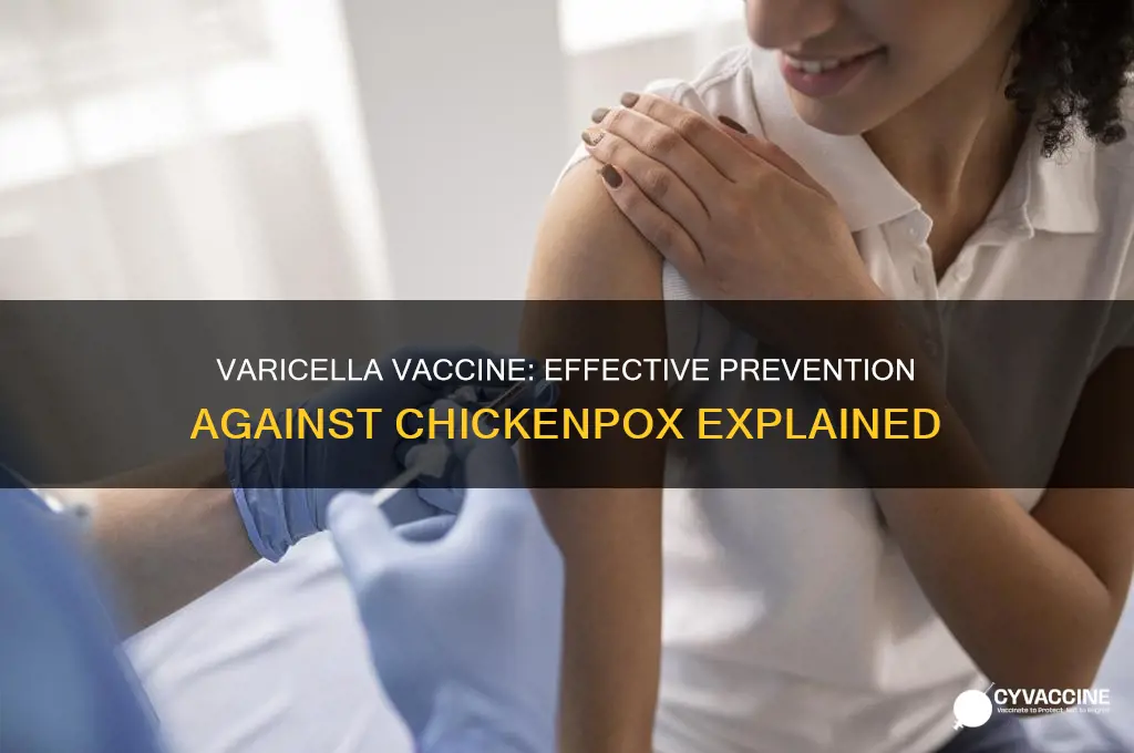 does the varicella vaccine prevent chickenpox