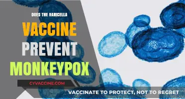 Can the Varicella Vaccine Offer Protection Against Monkeypox?