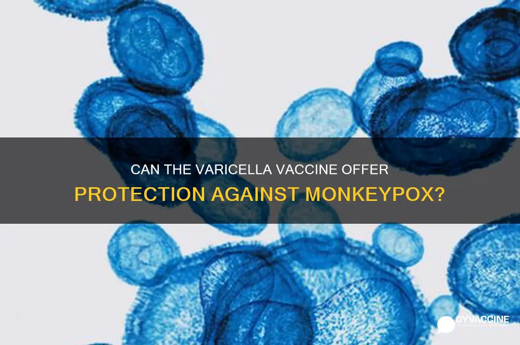 does the varicella vaccine prevent monkeypox