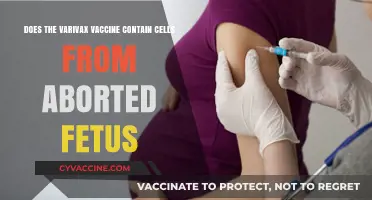 Varivax Vaccine: Aborted Fetus Cells Connection