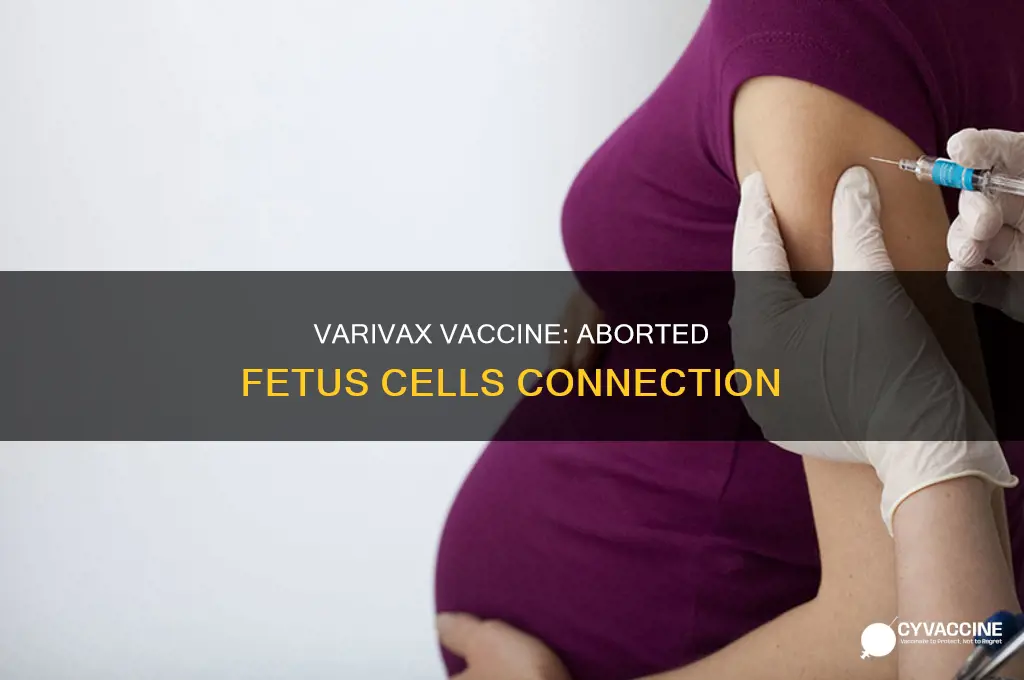 does the varivax vaccine contain cells from aborted fetus