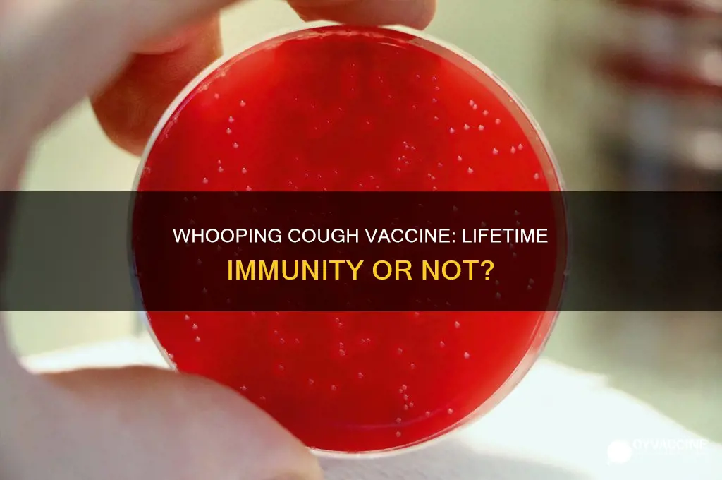 does the whooping cough vaccine last for life