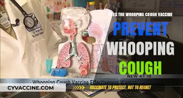 Does the Whooping Cough Vaccine Truly Prevent Pertussis Infections?