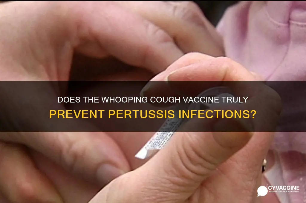 does the whooping cough vaccine prevent whooping cough