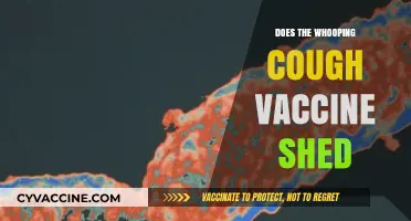 Whooping Cough Vaccine Shedding: Fact or Fiction? What You Need to Know