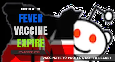 Does the Yellow Fever Vaccine Expire? Essential Facts and Guidelines