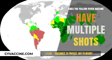 Yellow Fever Vaccine: Single Dose or Multiple Shots Explained
