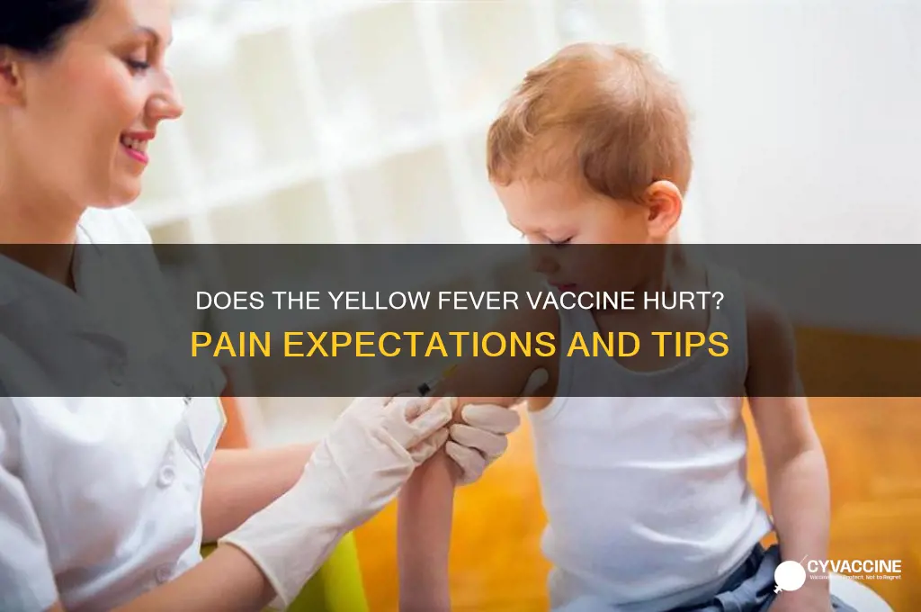 does the yellow fever vaccine hurt