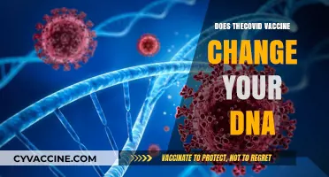 COVID Vaccine and DNA: Separating Fact from Fiction