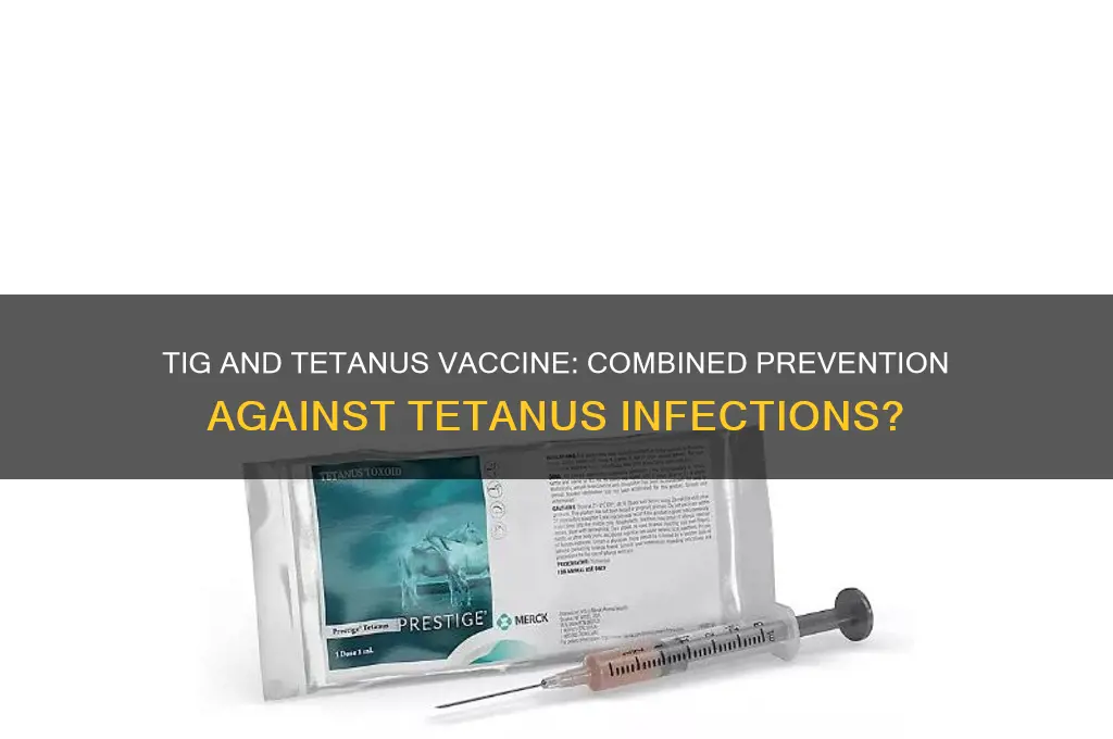 does tig in conjunction with tetanus vaccine prevent tetanus