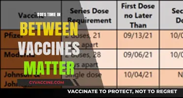 Does Vaccine Spacing Impact Effectiveness? Exploring the Timing Between Doses