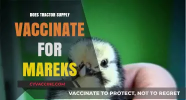 Tractor Supply's Marek's Vaccination Services: What You Need to Know
