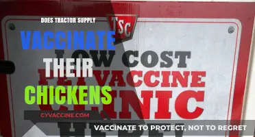 Tractor Supply's Chicken Vaccination Practices: What You Need to Know