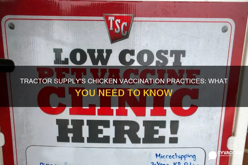 does tractor supply vaccinate their chickens