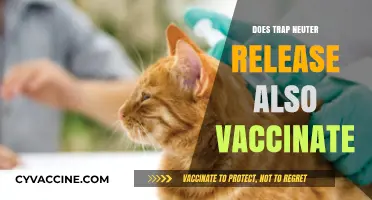 Trap Neuter Release: Does Vaccination Come Standard in the Process?