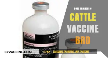Triangle 9 Cattle Vaccine: Effective BRD Prevention for Your Herd?