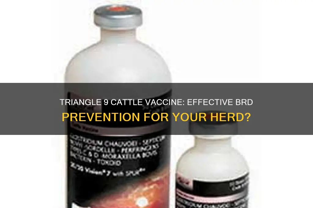 does triangle 9 cattle vaccine brd