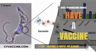 Exploring the Existence of a Trypanosoma Brucei Vaccine: Current Status