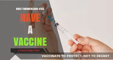 Tuberculosis Vaccine: Current Status, Efficacy, and Global Availability