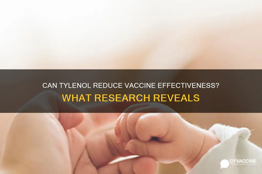does tylenol lowee efficacy of vaccines