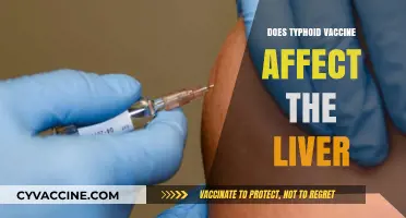 Typhoid Vaccine and Liver Health: What You Need to Know