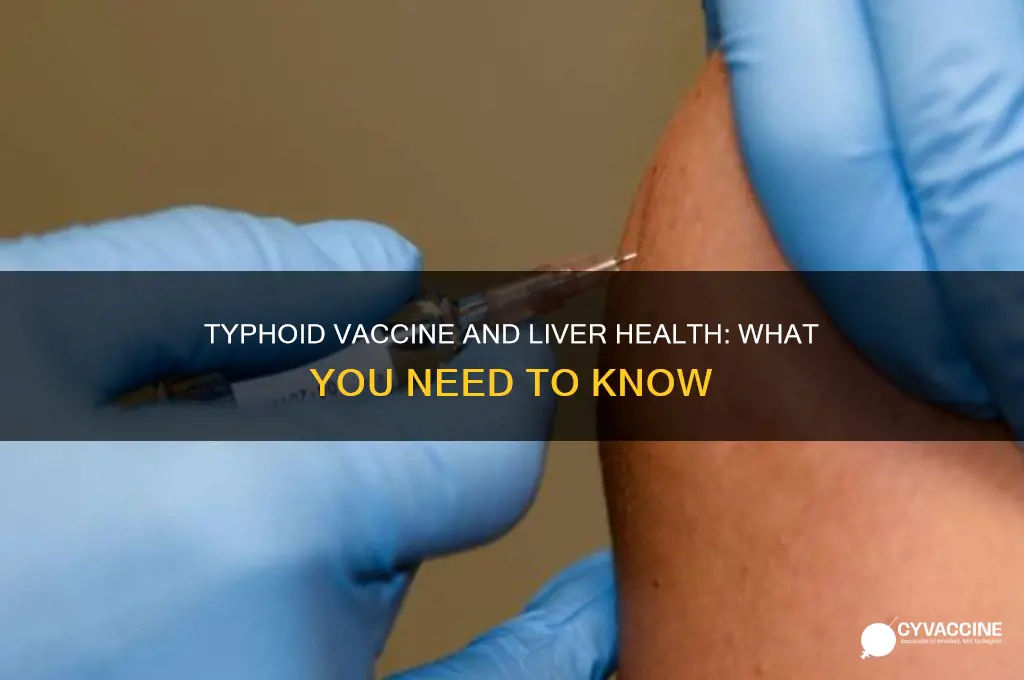 does typhoid vaccine affect the liver