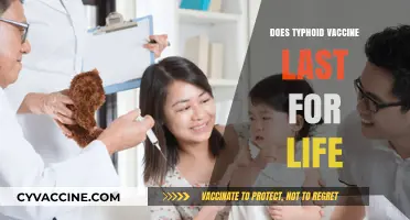 Typhoid Vaccine Lifespan: Does Immunity Last a Lifetime?