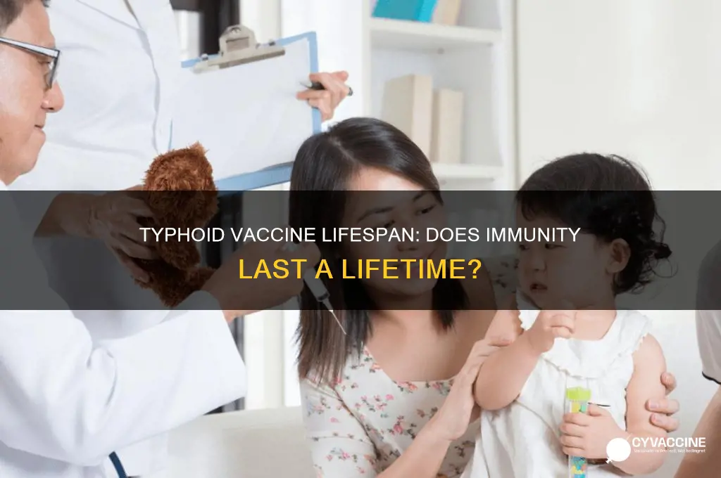 does typhoid vaccine last for life
