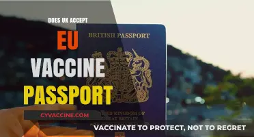 Does the UK Accept EU Vaccine Passports for Travel?