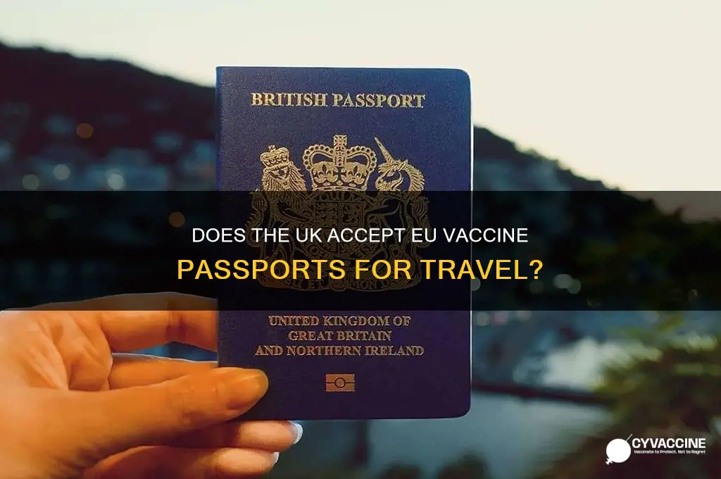 does uk accept eu vaccine passport