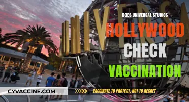 Universal Studios Hollywood Vaccination Requirements: What You Need to Know
