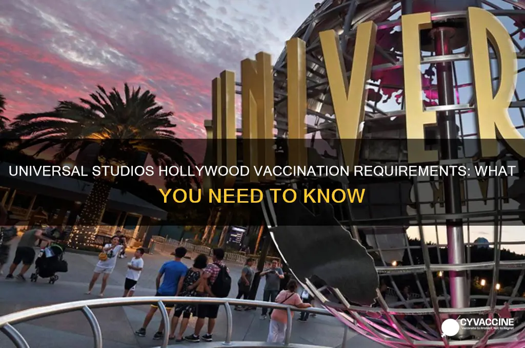 does universal studios hollywood check vaccination