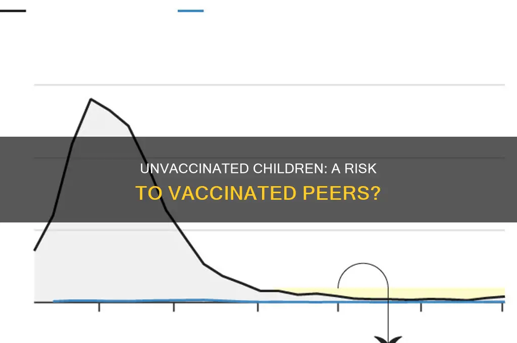 does unvaccinated kids put vaccinated kids in danger