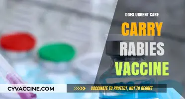 Does Urgent Care Provide Rabies Vaccines? What You Need to Know