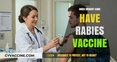 Does Urgent Care Provide Rabies Vaccines? What You Need to Know