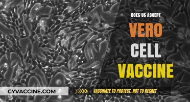 Does the U.S. Accept Vero Cell Vaccines? A Comprehensive Guide