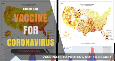 Does the US Have a Coronavirus Vaccine? Latest Updates and Facts