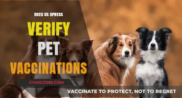 Does US Xpress Verify Pet Vaccinations? What You Need to Know