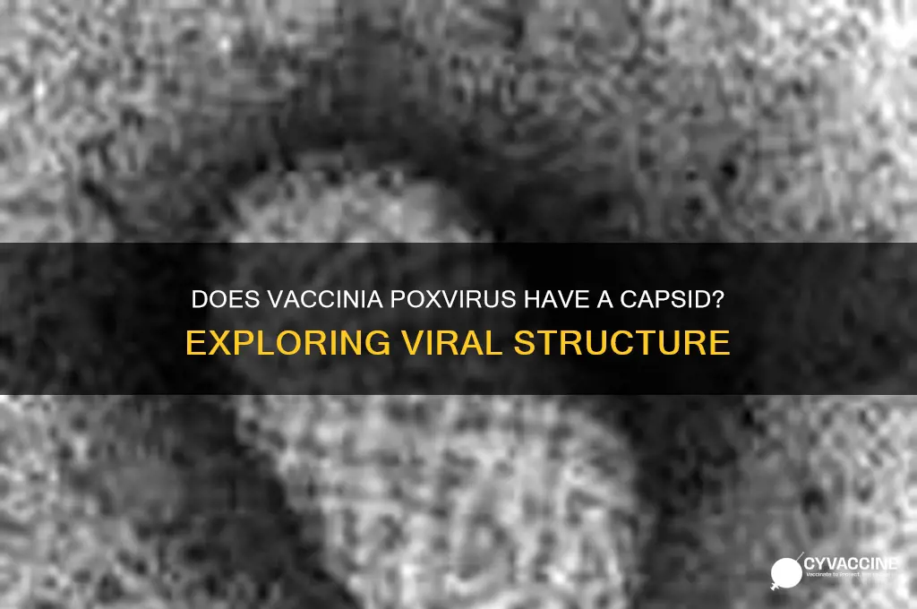 does vaccina poxvirus have a capsid
