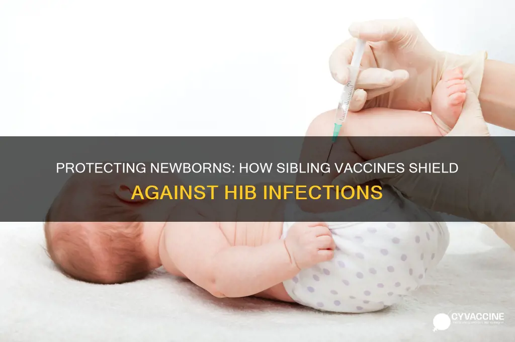 does vaccinating siblings protect a new baby from hib