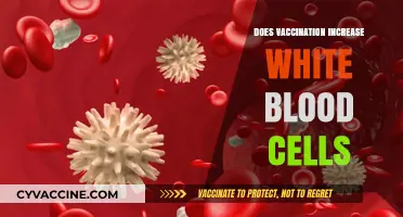 Vaccination's Impact: Does It Boost White Blood Cell Count?