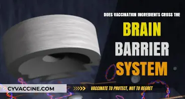 Vaccine Ingredients and the Blood-Brain Barrier: Separating Fact from Fiction
