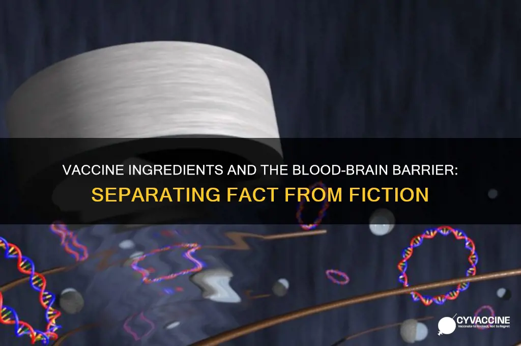 does vaccination ingredients cross the brain barrier system