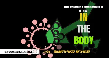 Vaccination Basics: Antigen vs. Antibody – What's Really Injected?