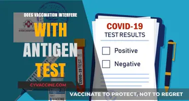 Vaccination and Antigen Tests: Debunking Interference Myths and Facts