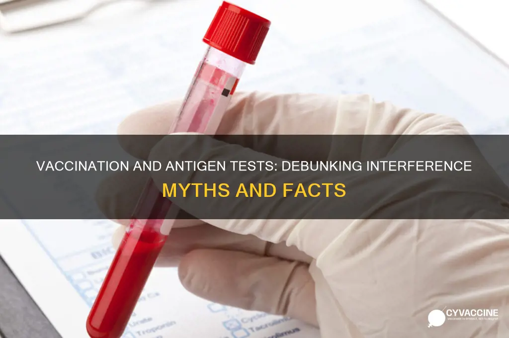 does vaccination interfere with antigen test