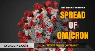 Vaccination's Role in Curbing Omicron Spread: What Research Shows