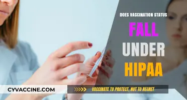 Does Vaccination Status Fall Under HIPAA? Privacy Laws Explained